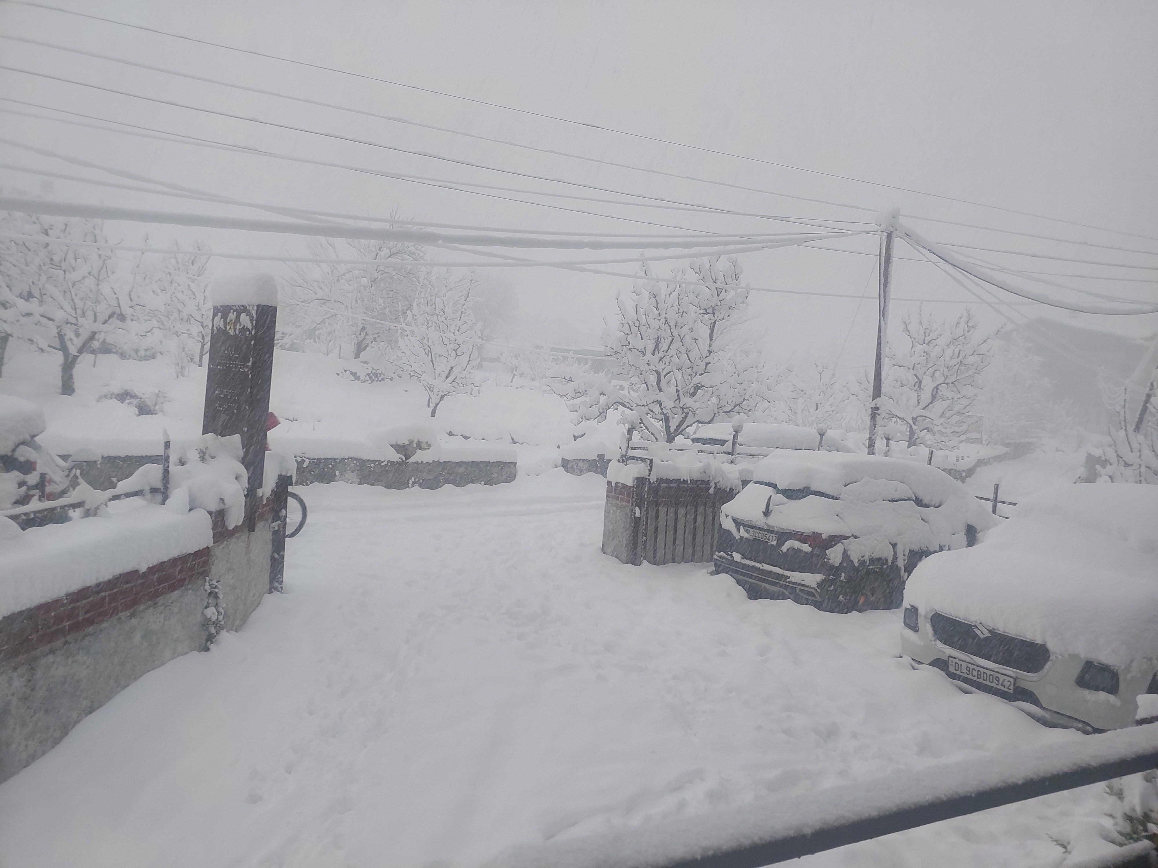 Snowy Retreat